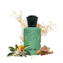 ٢٠٢٦٠١٢٣_١٧٠٠١٦ (1).webp